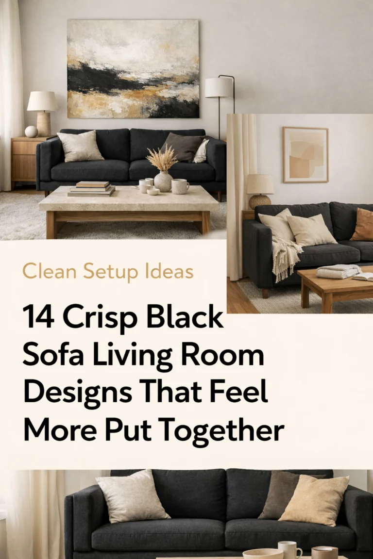 14-crisp-black-sofa-living-room-designs